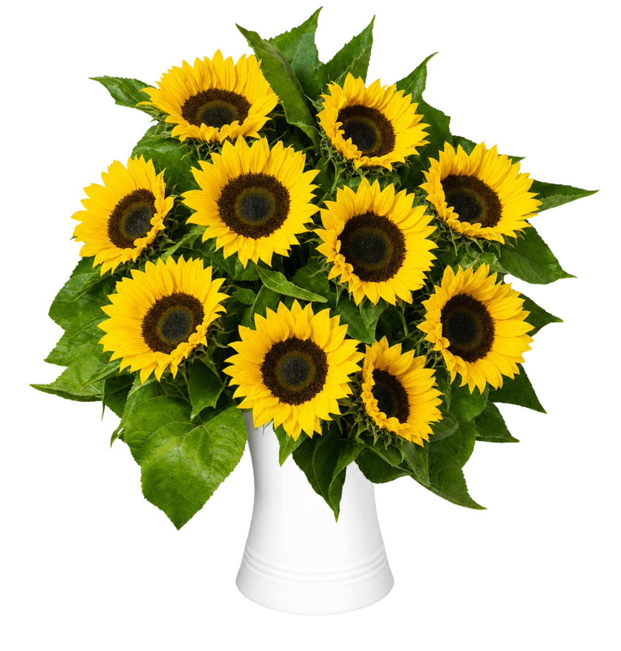 10 Sonnenblumen
