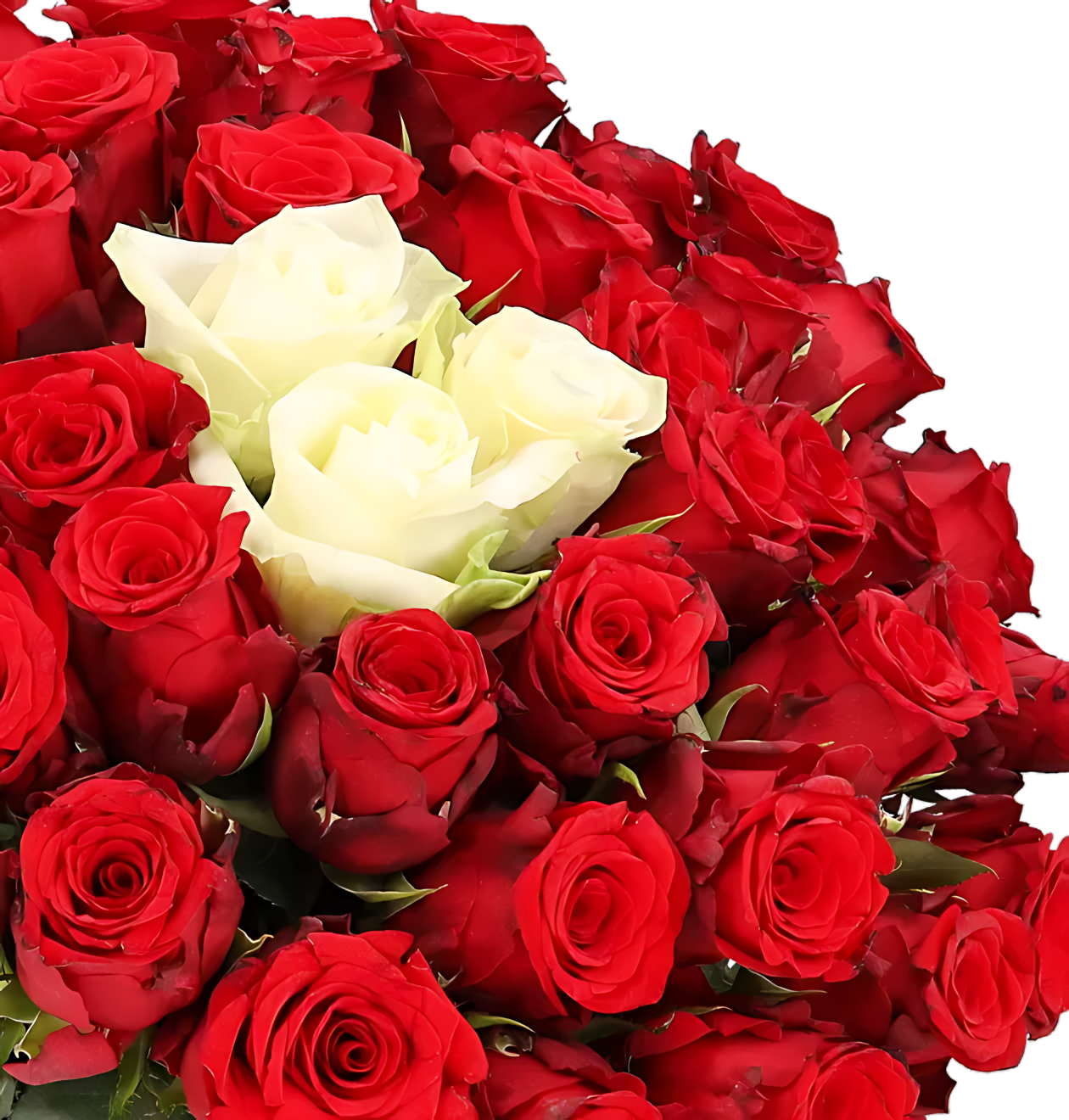 80 rozen - "Sweetheart" (2x40 stuks)