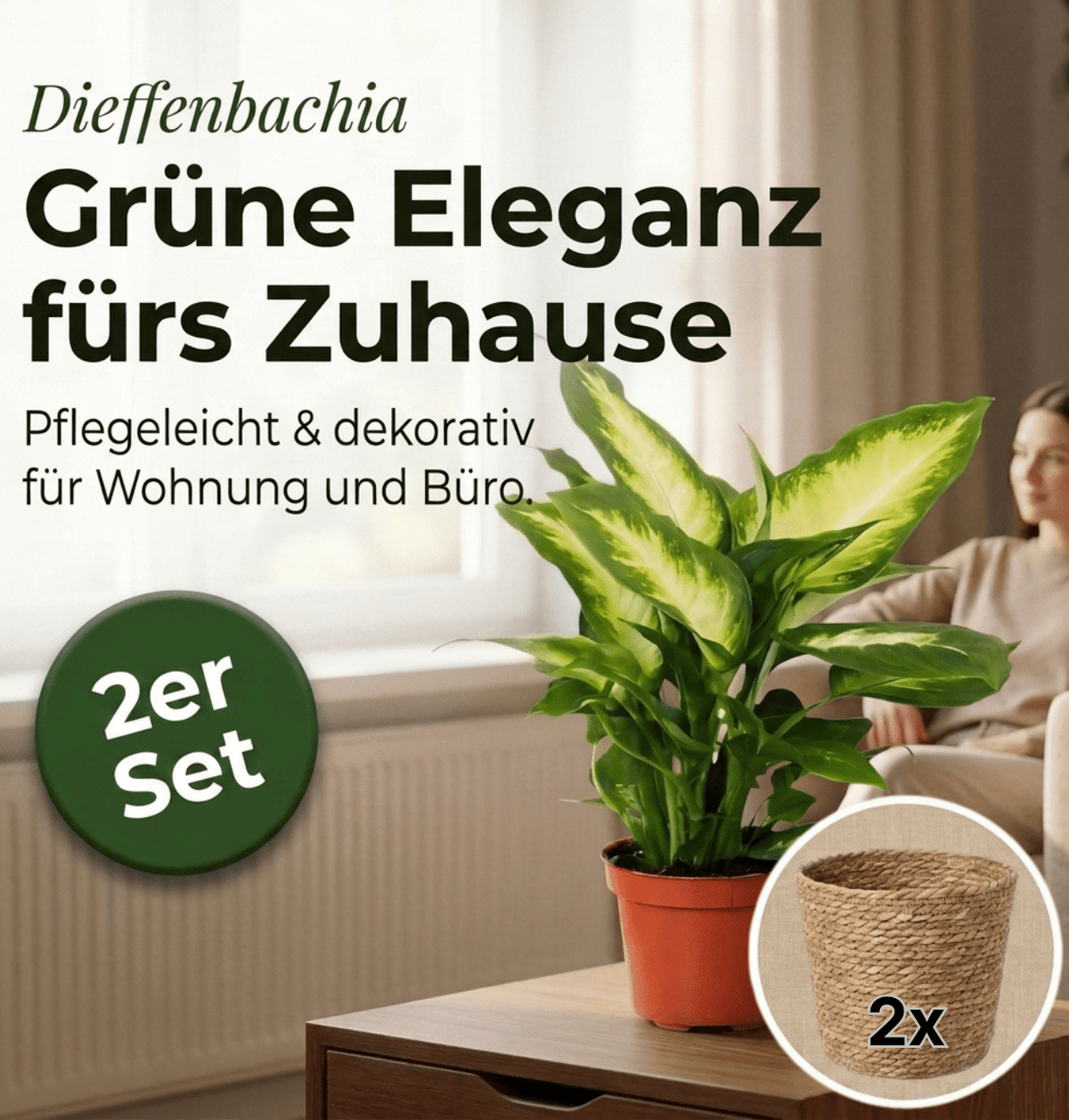 Dieffenbachia + 2x Seegraskorb | 2er-Set | ca. 40-50 cm | Ø 12-15 cm Topf - Blume Ideal