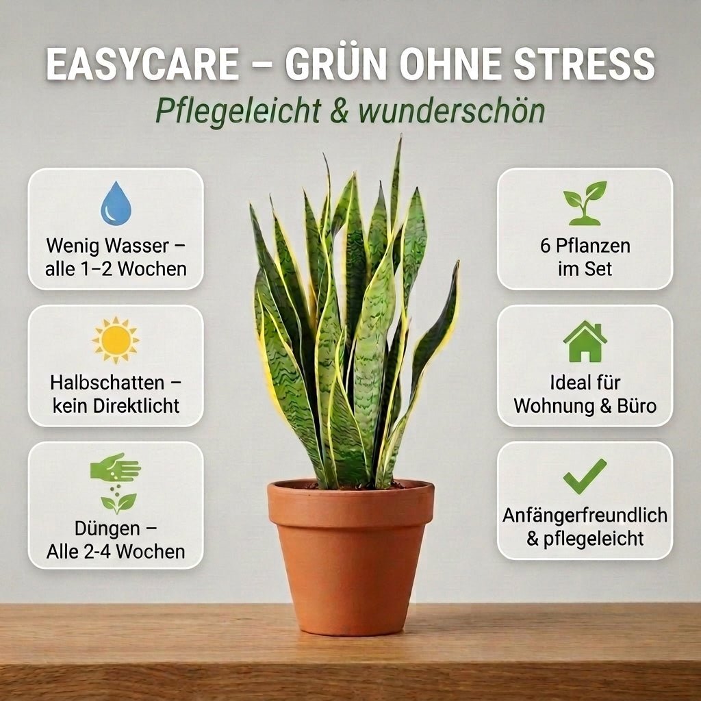 “EasyCare” Pflanzenset + 6x Cremefarbener Zinktopf | 6er-Set | ca. 30-60 cm | Ø 12-15 cm Topf - Blume Ideal