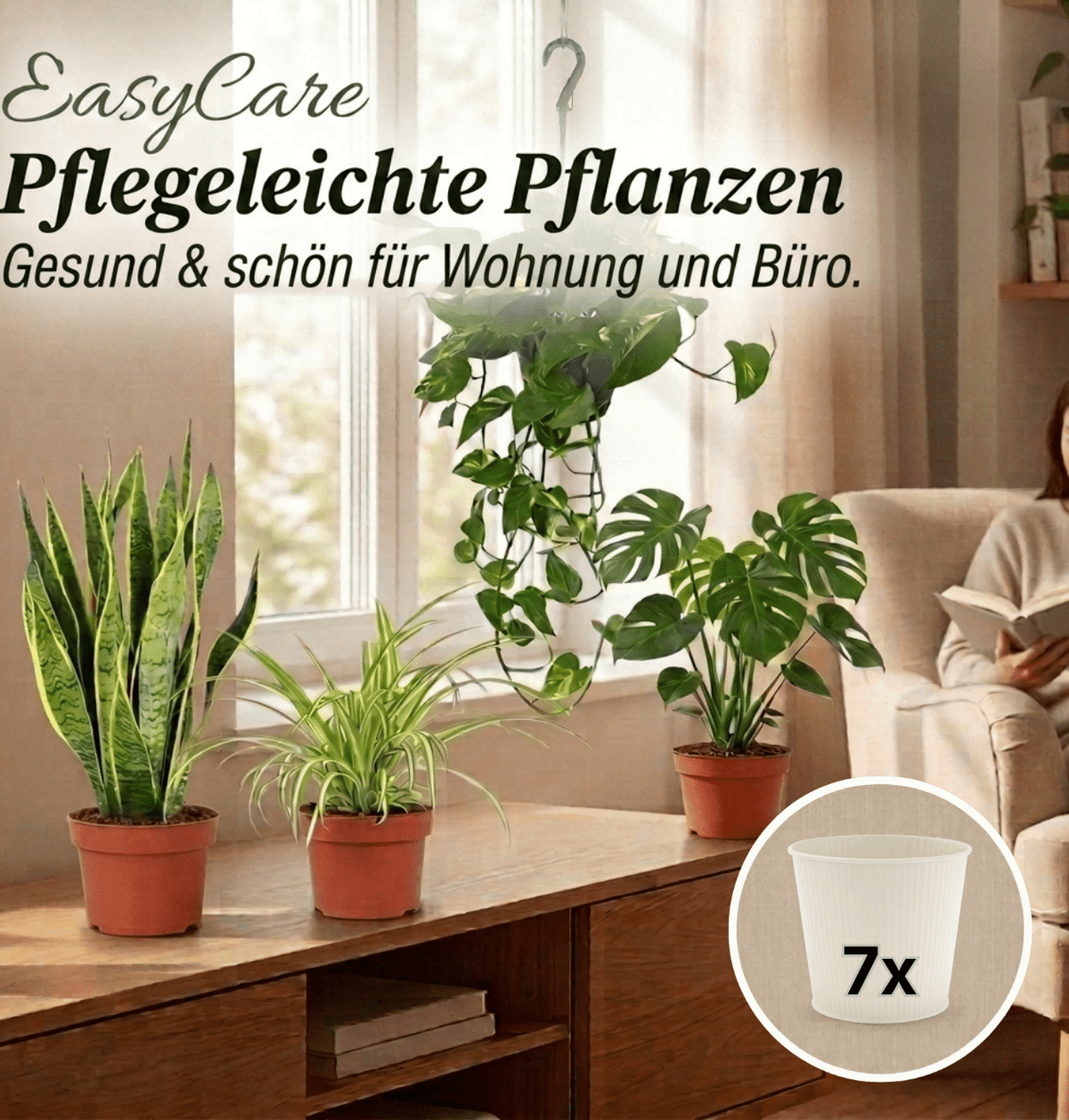 “EasyCare” Pflanzenset + 7x Cremefarbener Zinktopf | 7er-Set | ca. 30-60 cm | Ø 12-15 cm Topf - Blume Ideal