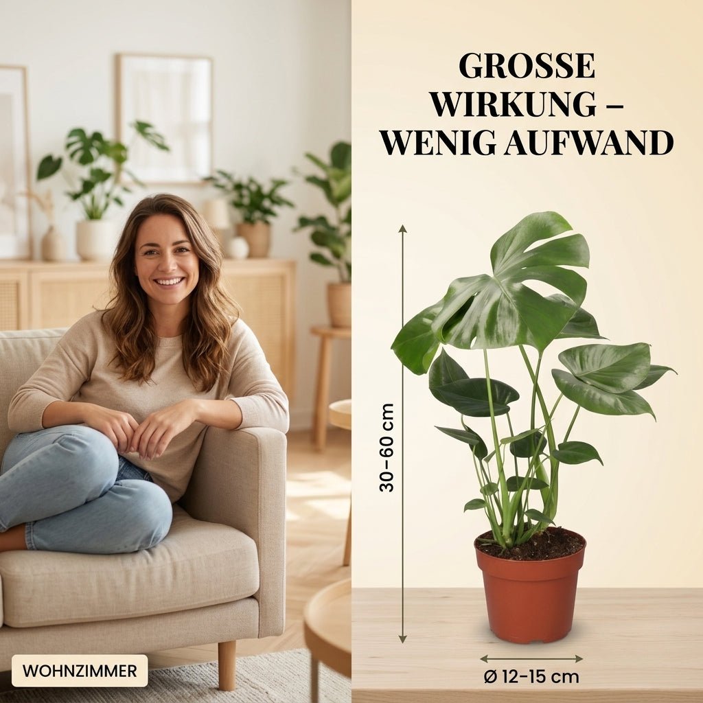 “EasyCare” Pflanzenset + 7x Seegraskorb | 7er-Set | ca. 30-60 cm | Ø 12-15 cm Topf - Blume Ideal