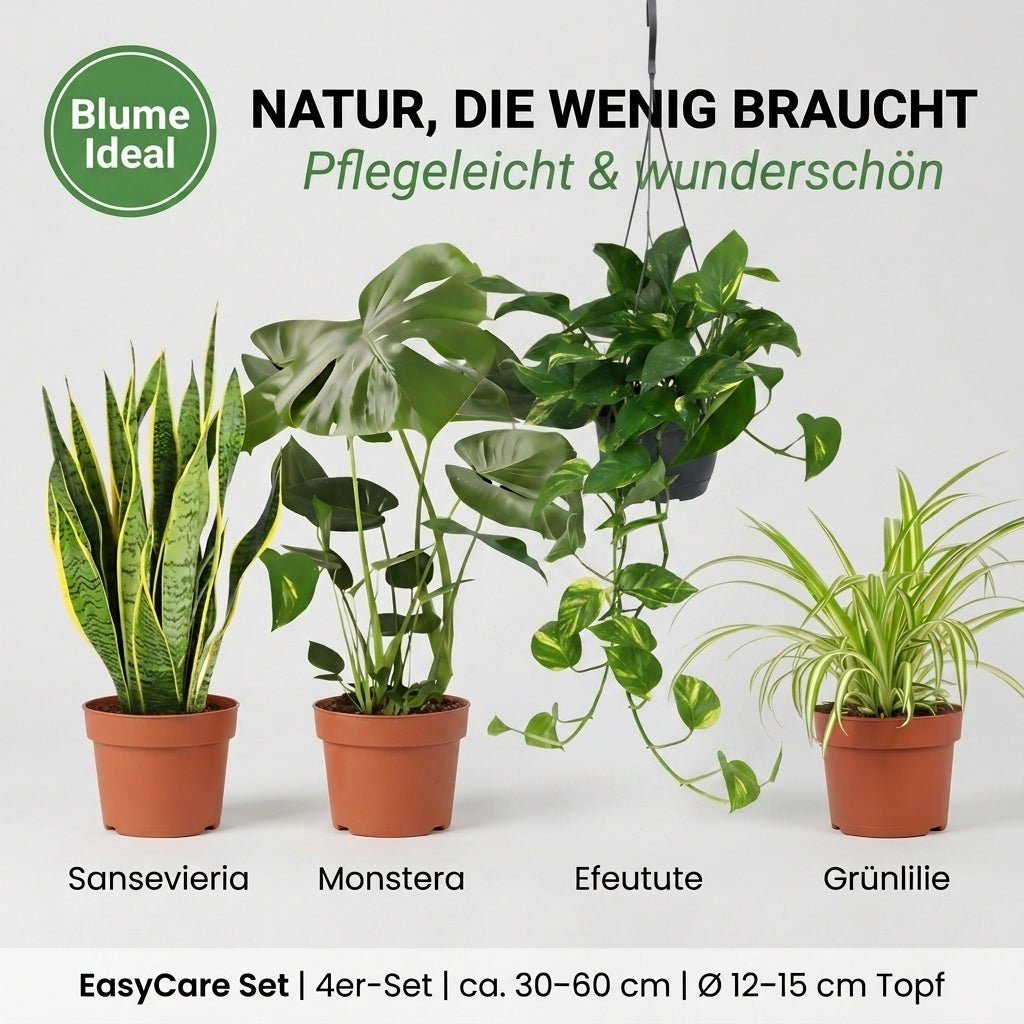 “EasyCare” Pflanzenset + Zinktopf | 4er - Set | ca. 30 - 60 cm | Ø 12 - 15 cm Topf - Blume Ideal