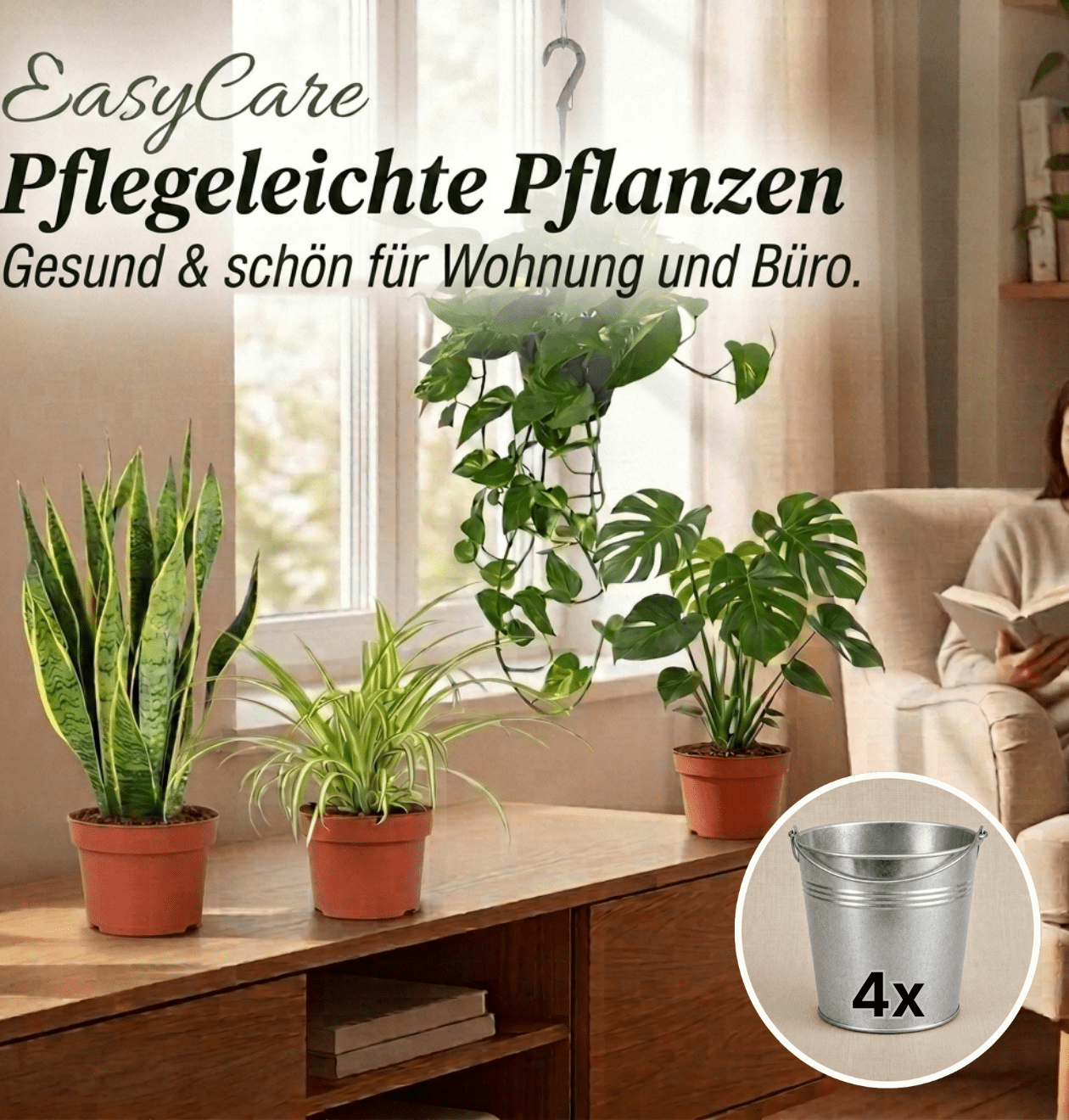 “EasyCare” Pflanzenset + Zinktopf | 4er - Set | ca. 30 - 60 cm | Ø 12 - 15 cm Topf - Blume Ideal