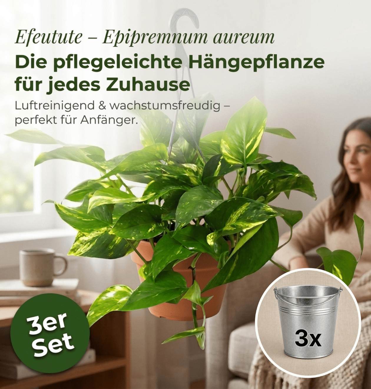 Efeutute (hängend) + Zinktopf | 3er - Set | Epipremnum aureum | ca. 30 - 35 cm | Ø 12 - 15 cm Topf - Blume Ideal