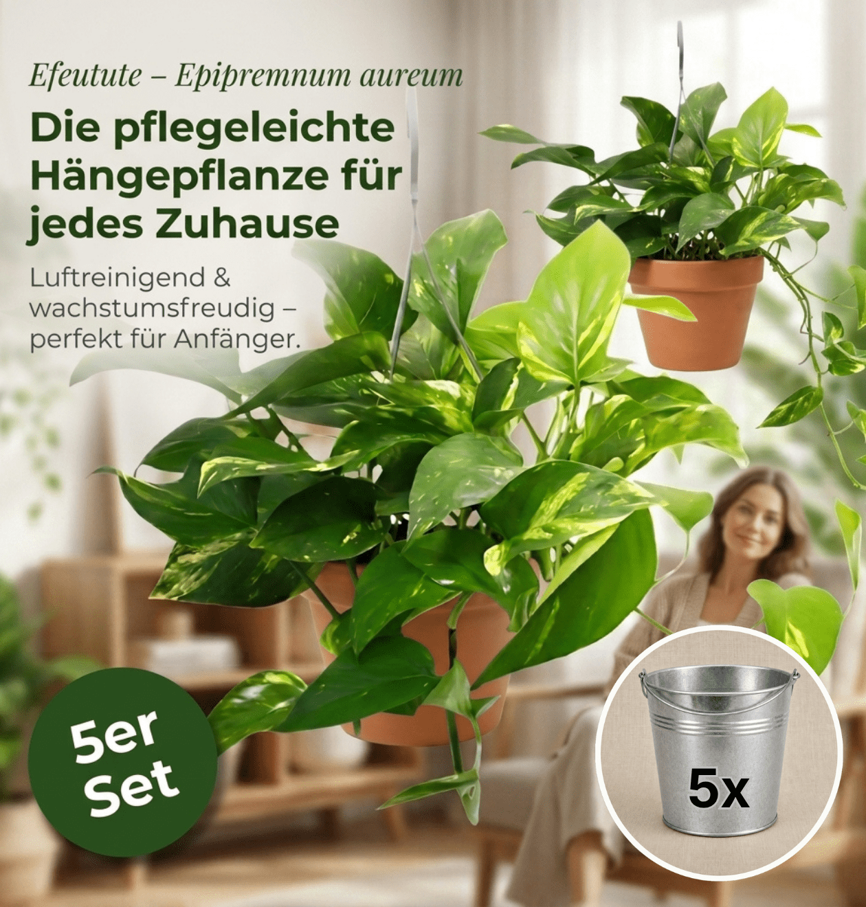 Efeutute (hängend) + Zinktopf | 5er - Set | Epipremnum aureum | ca. 30 - 35 cm | Ø 12 - 15 cm Topf - Blume Ideal