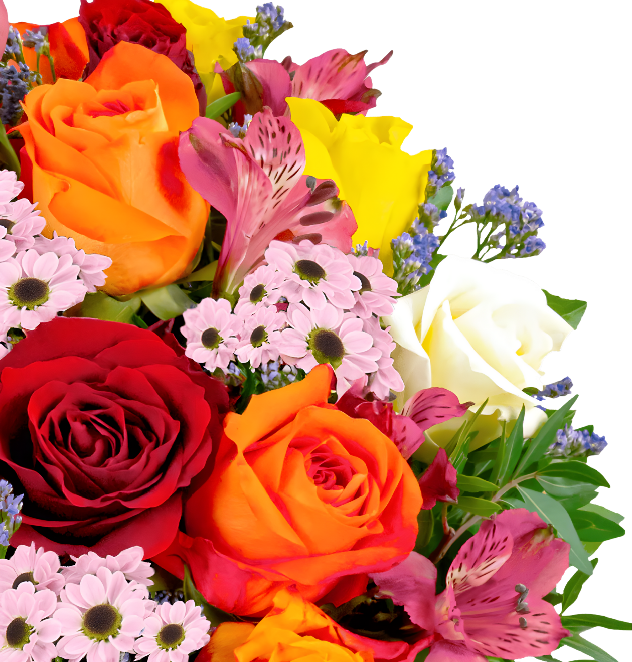 Farbtraum XL - Blume Ideal