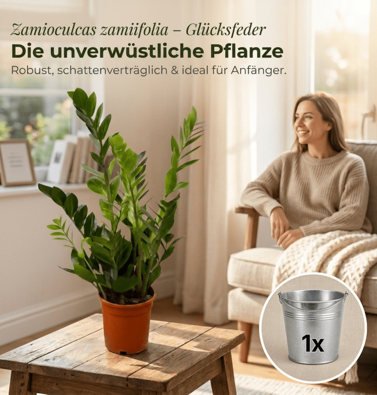 Glücksfeder + 1x Zinktopf | Zamioculcas zamiifolia | ca. 40-50 cm | Ø 12-15 cm Topf - Blume Ideal