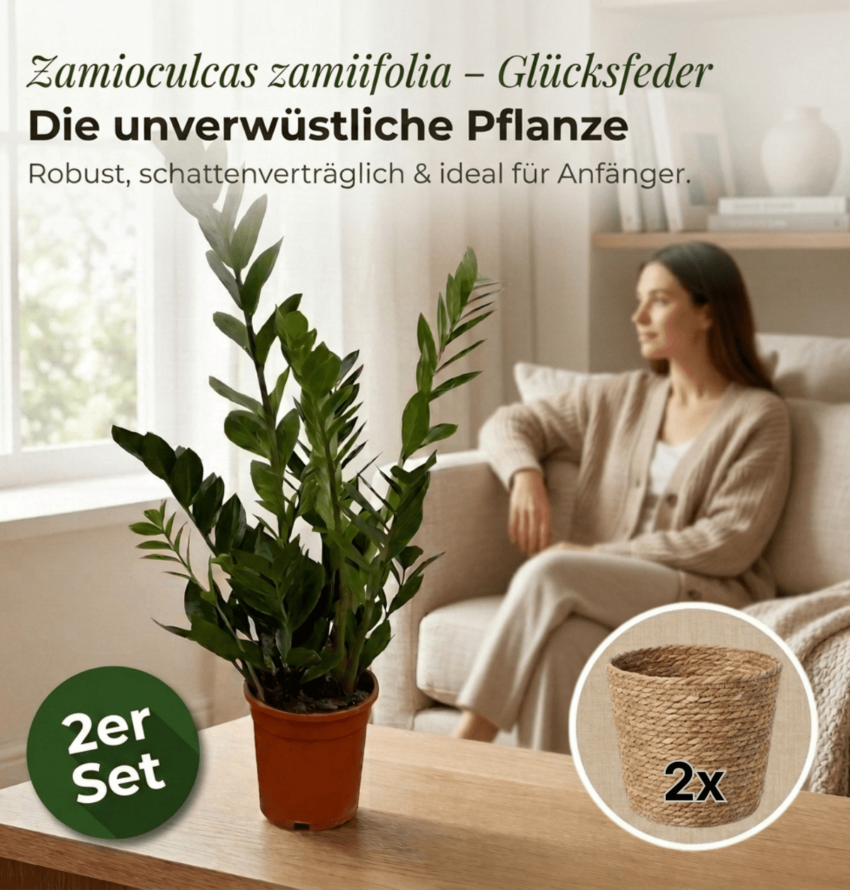 Glücksfeder + 2x Seegraskorb | 2er-Set | Zamioculcas zamiifolia | ca. 40-50 cm | Ø 12-15 cm Topf - Blume Ideal