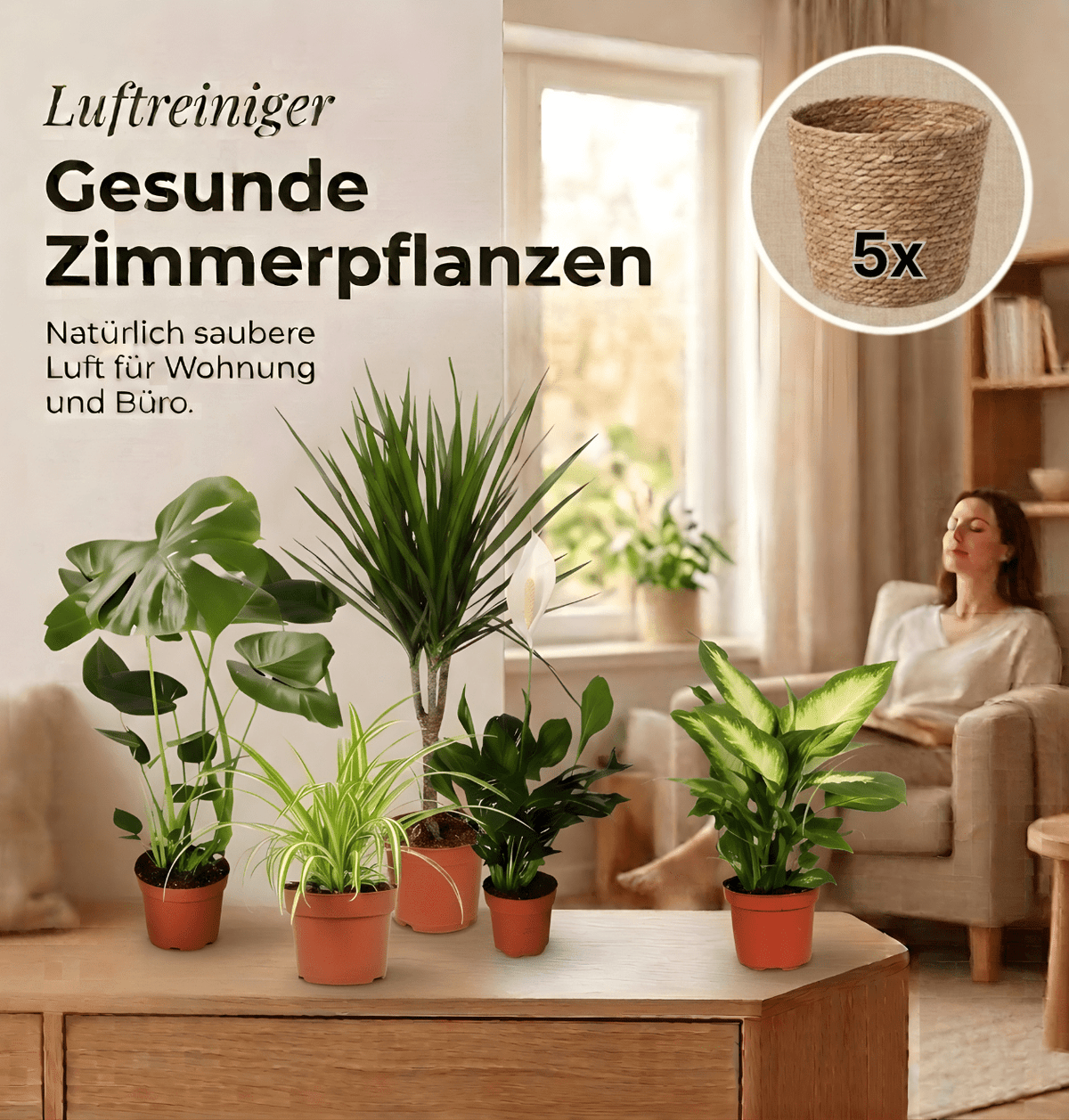 “Luftreiniger” Pflanzen-Set + 5x Seegraskorb | 5er-Set | ca. 40-70 cm | Ø 12-15 cm Topf - Blume Ideal