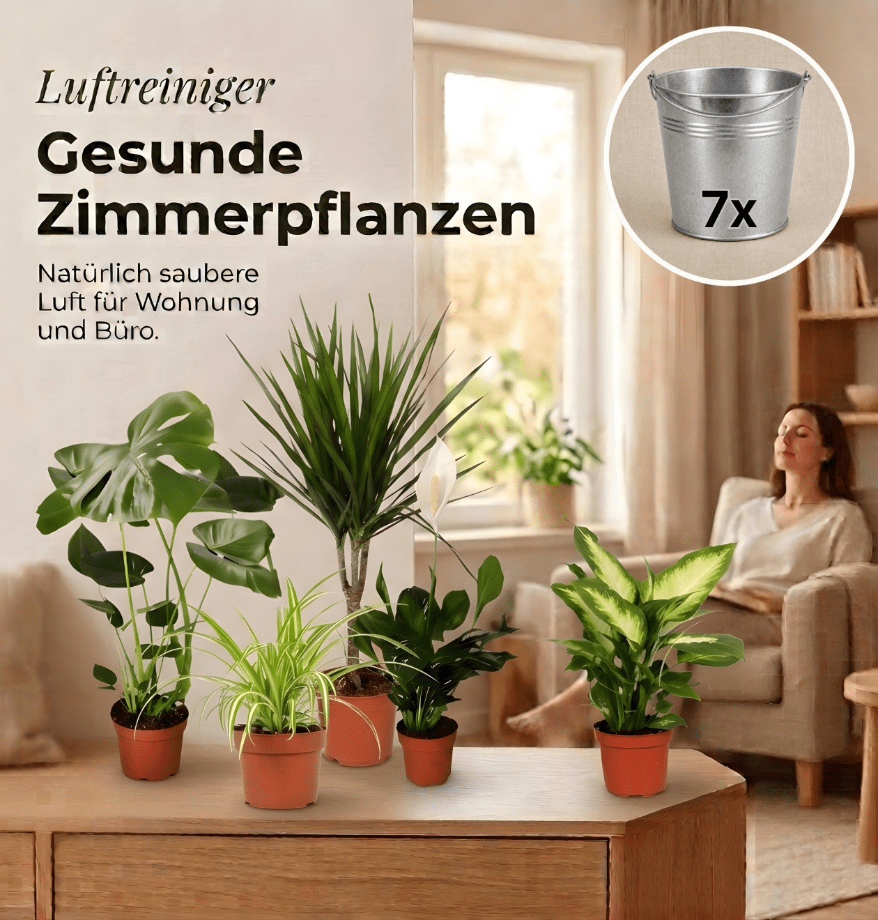 “Luftreiniger” Pflanzen - Set + Zinktopf | 7er - Set | ca. 30 - 70 cm | Ø 12 - 15 cm Topf - Blume Ideal