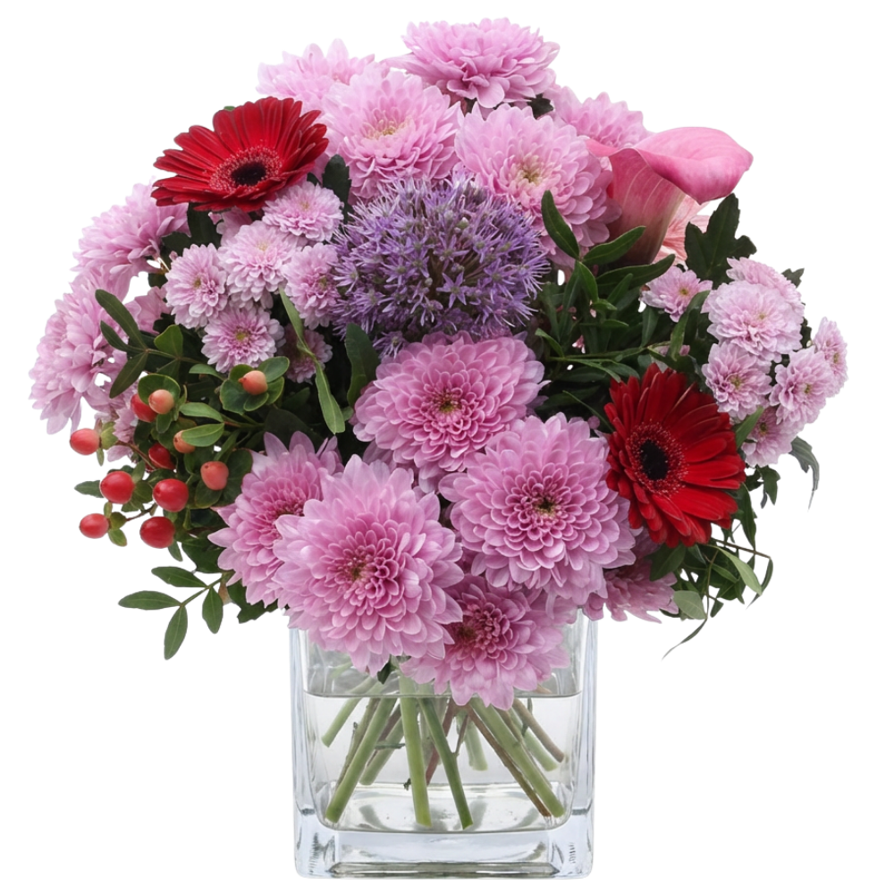 Mama's Liebling - Blume Ideal