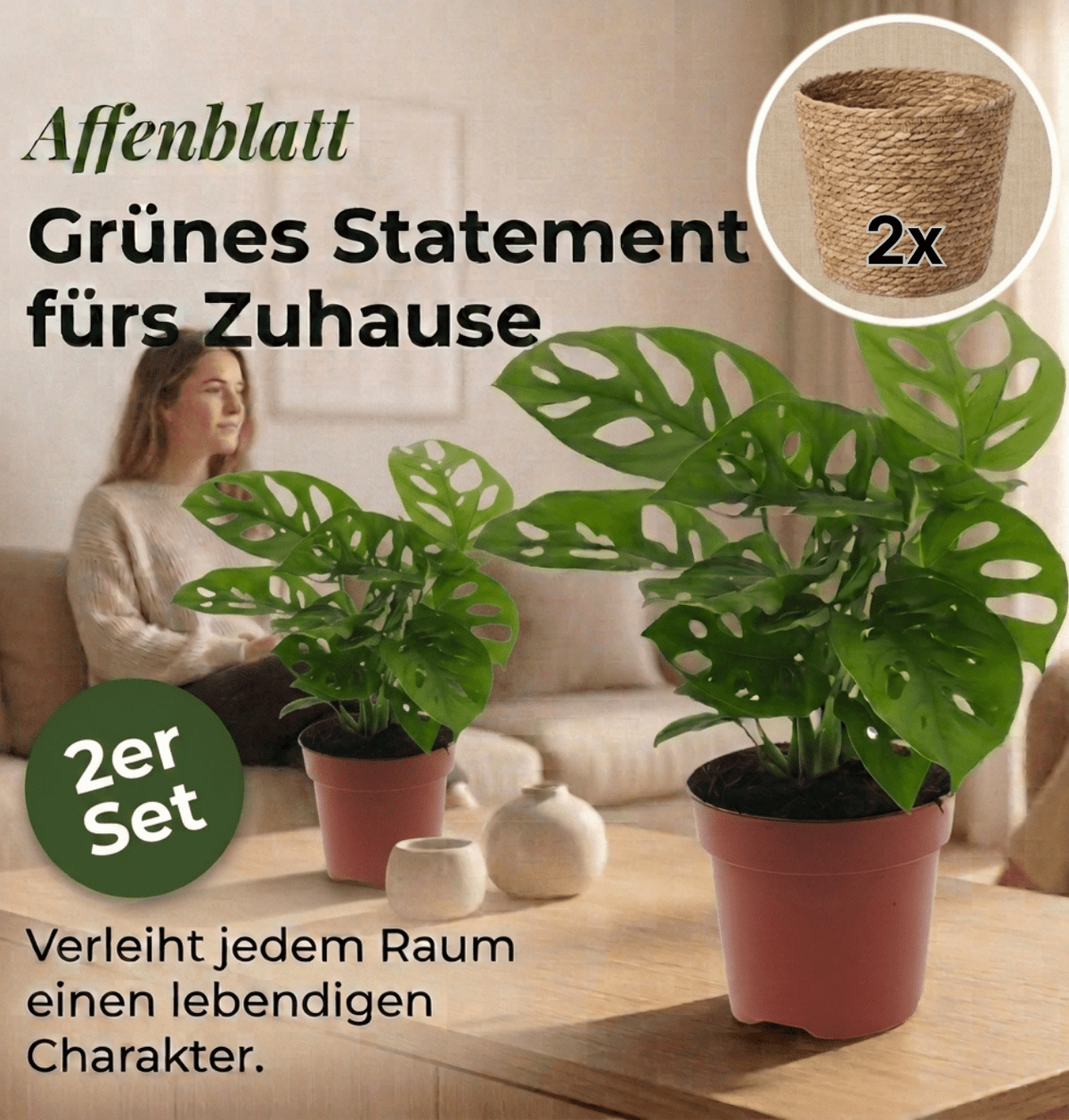 Monstera adansonii + 2x Seegraskorb | 2er-Set | Monkey Leaf | ca. 25-30 cm | Ø 12-15 cm Topf - Blume Ideal