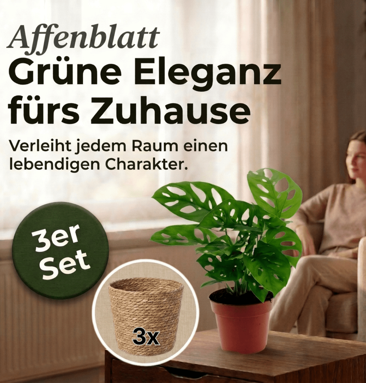 Monstera adansonii + 3x Seegraskorb | 3er-Set | Monkey Leaf | ca. 25-30 cm | Ø 12-15 cm Topf - Blume Ideal