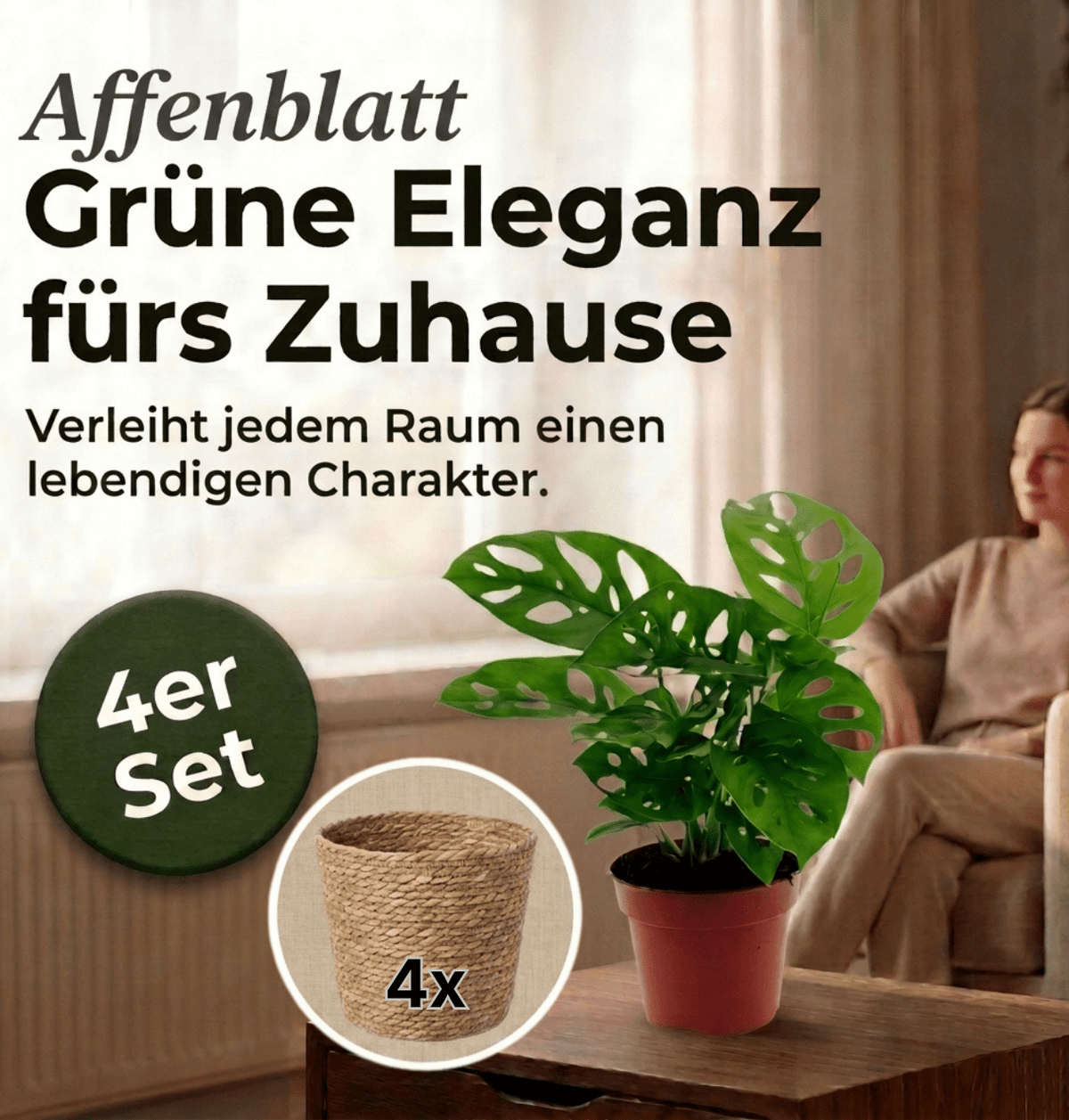 Monstera adansonii + 4x Seegraskorb | 4er-Set | Monkey Leaf | ca. 25-30 cm | Ø 12-15 cm Topf - Blume Ideal