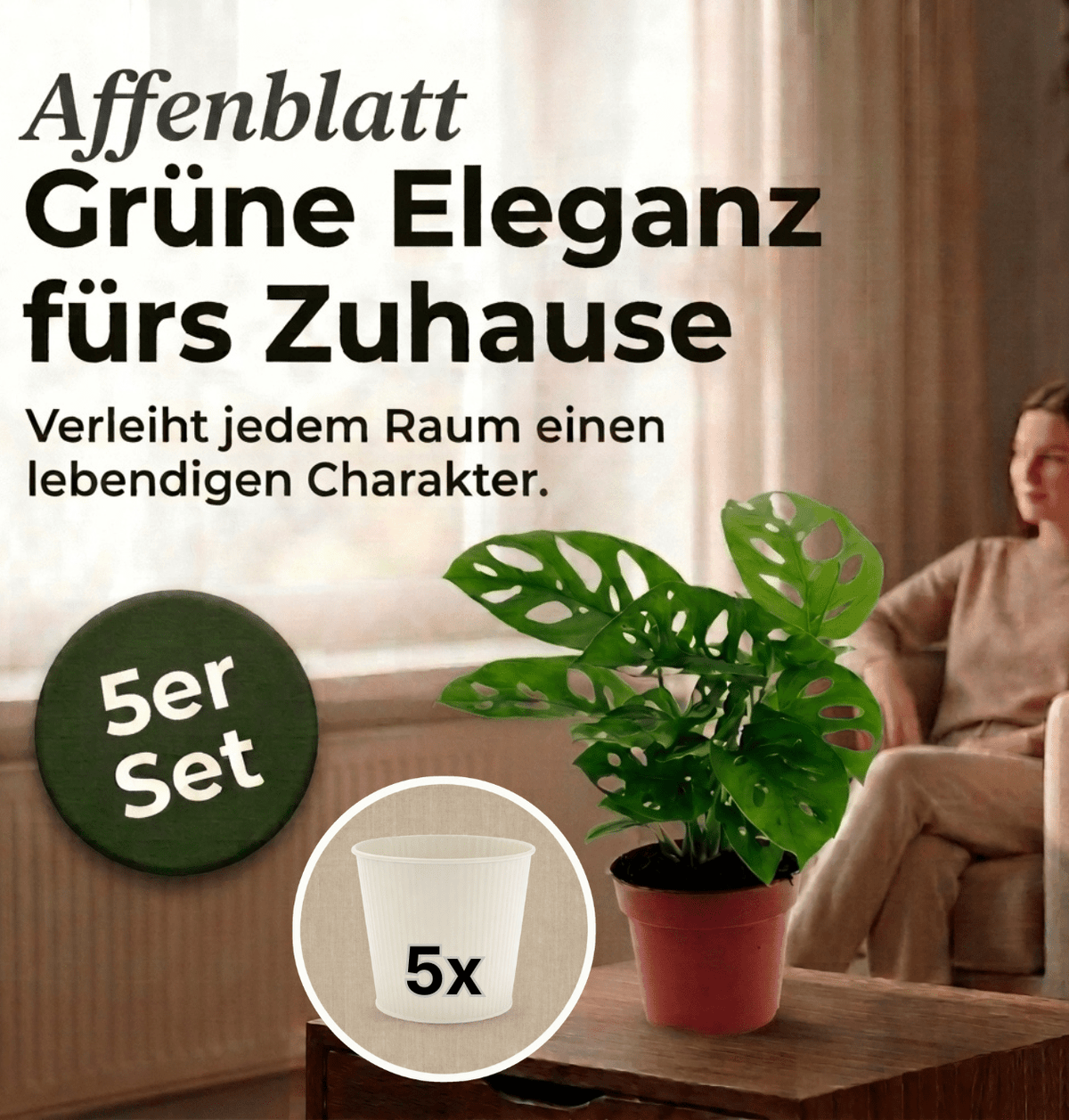 Monstera adansonii + 5x Cremefarbener Zinktopf | 5er-Set | Monkey Leaf | ca. 25-30 cm | Ø 12-15 cm Topf - Blume Ideal