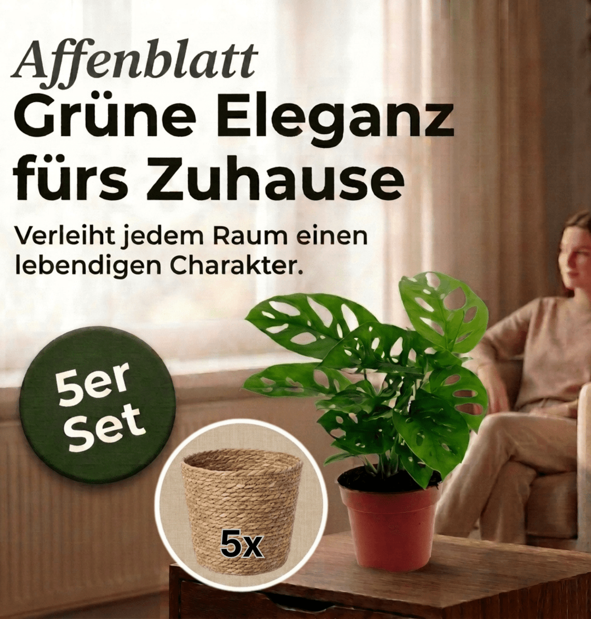 Monstera adansonii + 5x Seegraskorb | 5er-Set | Monkey Leaf | ca. 25-30 cm | Ø 12-15 cm Topf - Blume Ideal