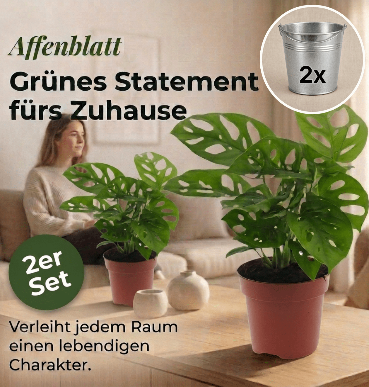 Monstera adansonii + Zinktopf | 2er - Set | Monkey Leaf | ca. 25 - 30 cm | Ø 12 - 15 cm Topf - Blume Ideal