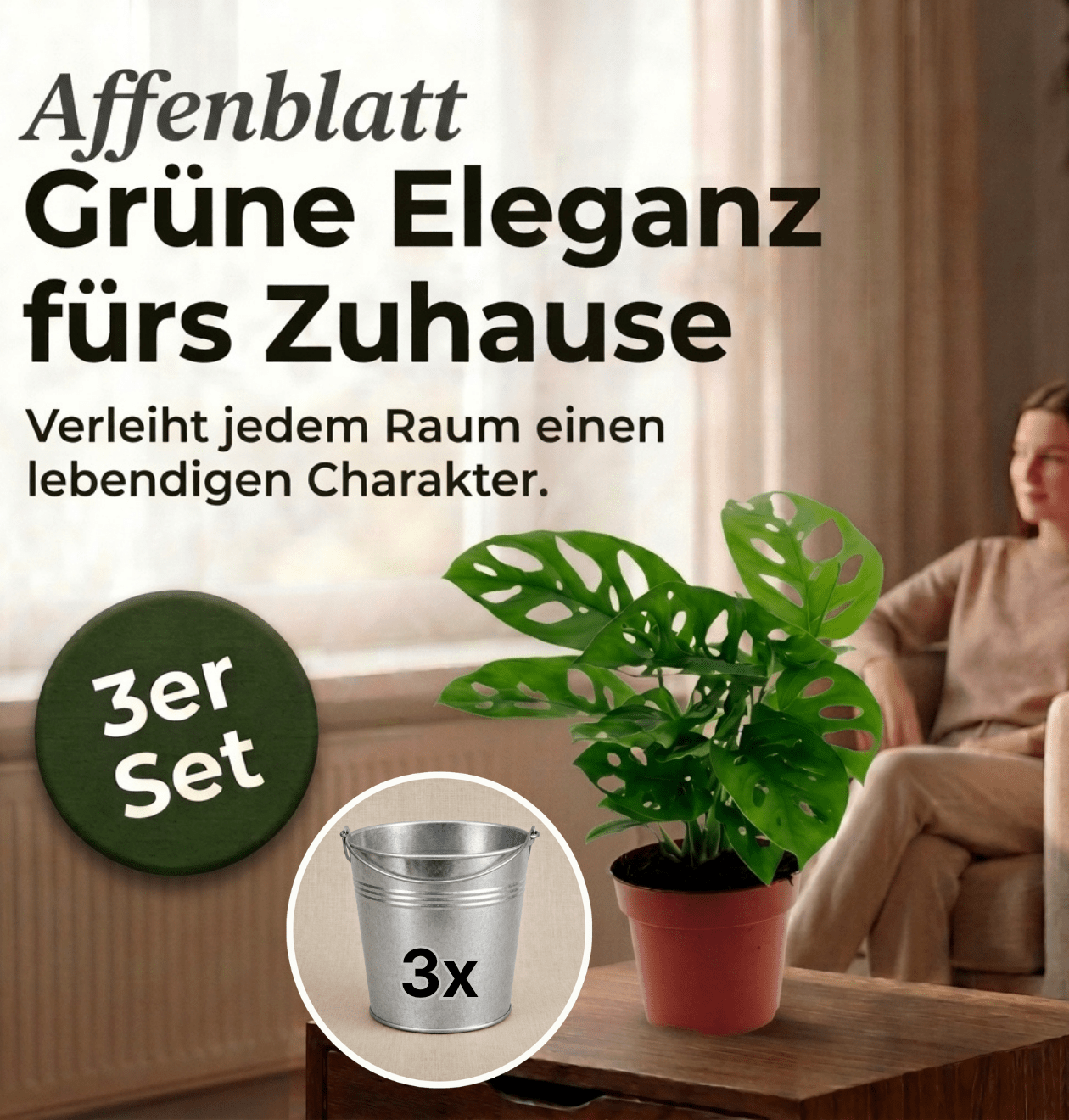 Monstera adansonii + Zinktopf | 3er - Set | Monkey Leaf | ca. 25 - 30 cm | Ø 12 - 15 cm Topf - Blume Ideal
