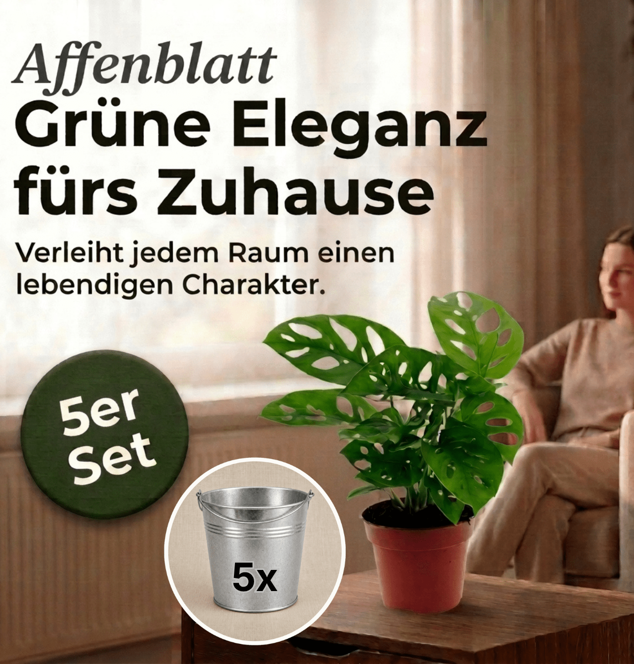 Monstera adansonii + Zinktopf | 5er - Set | Monkey Leaf | ca. 25 - 30 cm | Ø 12 - 15 cm Topf - Blume Ideal