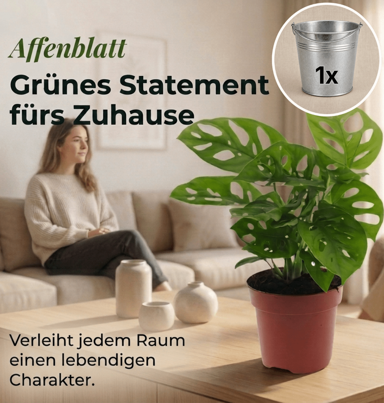 Monstera adansonii + Zinktopf | Monkey Leaf | ca. 25 - 30 cm | Ø 12 - 15 cm Topf - Blume Ideal