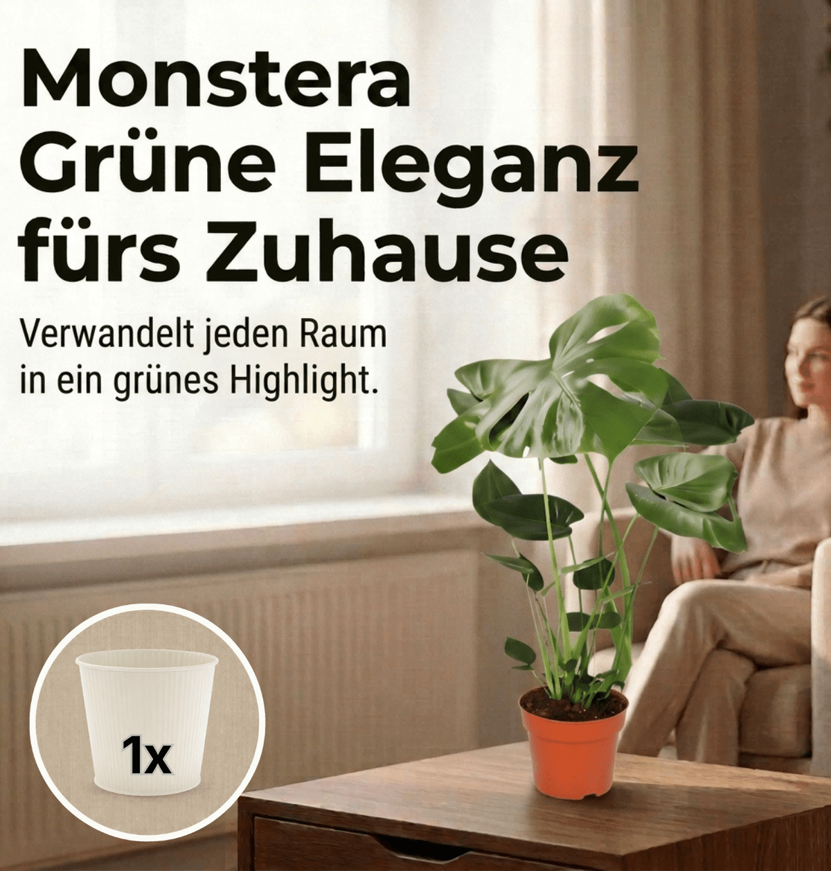 Monstera deliciosa + 1x Cremefarbener Zinktopf | Fensterblatt | ca. 55-70 cm | Ø 12-15 cm Topf - Blume Ideal