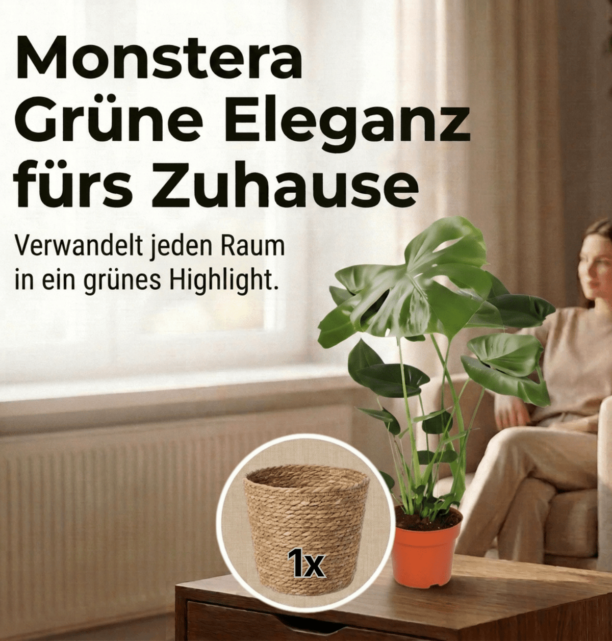 Monstera deliciosa + 1x Seegraskorb | Fensterblatt | ca. 55-70 cm | Ø 12-15 cm Topf - Blume Ideal