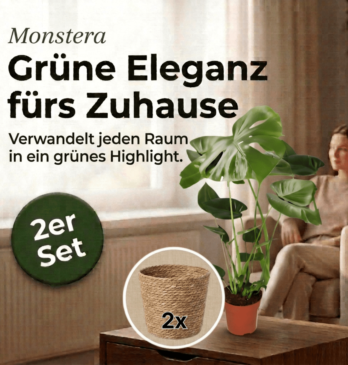Monstera deliciosa + 2x Seegraskorb | 2er-Set | Fensterblatt | ca. 55-70 cm | Ø 12-15 cm Topf - Blume Ideal