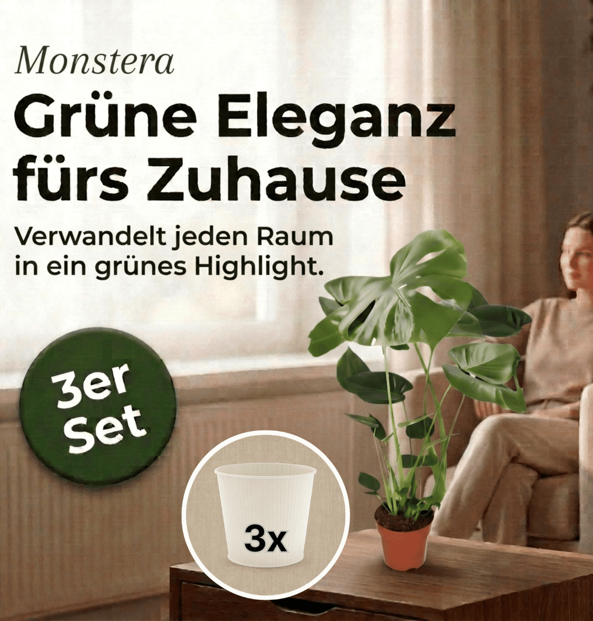 Monstera deliciosa + 3x Cremefarbener Zinktopf | 3er-Set | Fensterblatt | ca. 55-70 cm | Ø 12-15 cm Topf - Blume Ideal