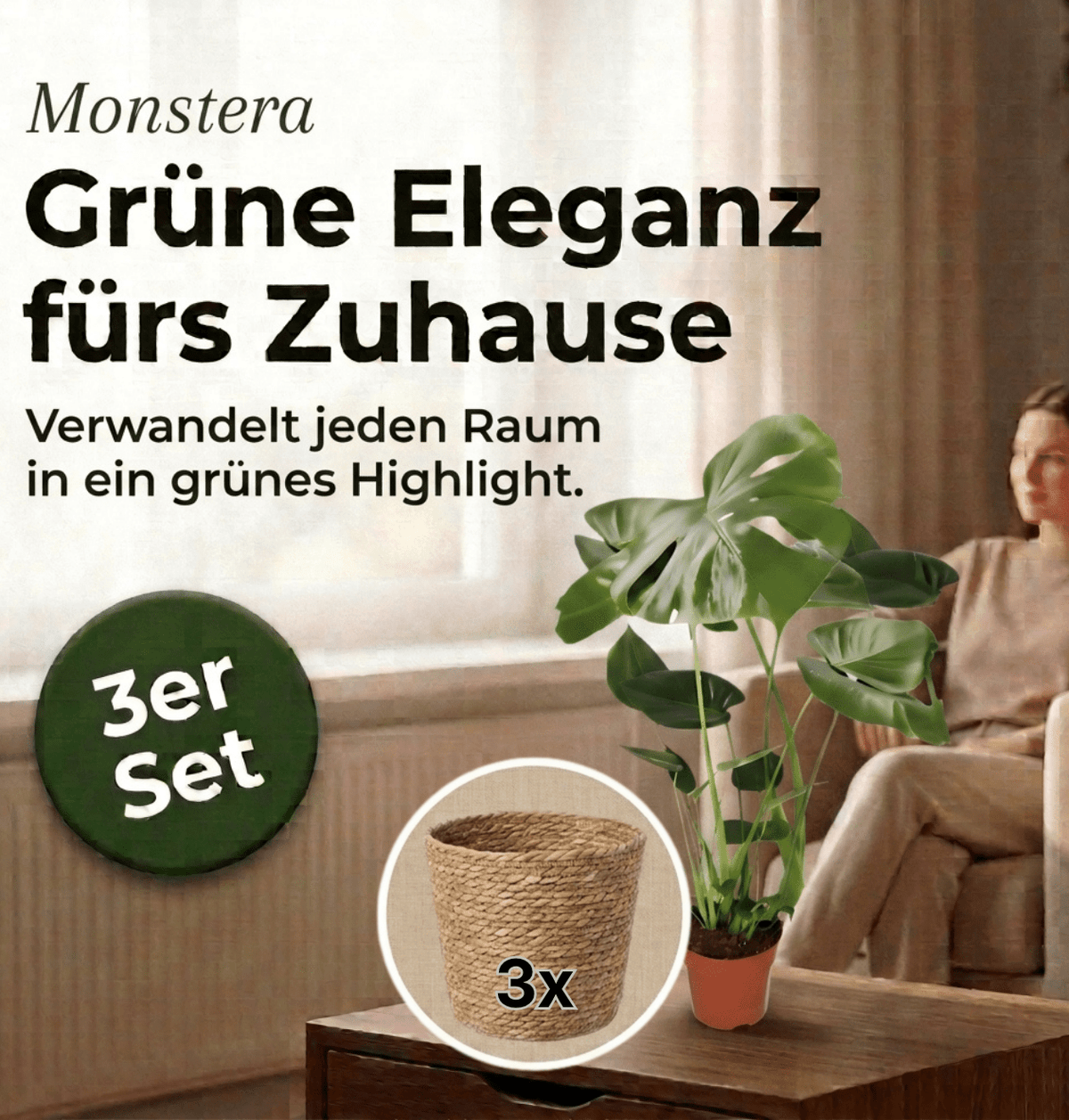 Monstera deliciosa + 3x Seegraskorb | 3er-Set | Fensterblatt | ca. 55-70 cm | Ø 12-15 cm Topf - Blume Ideal