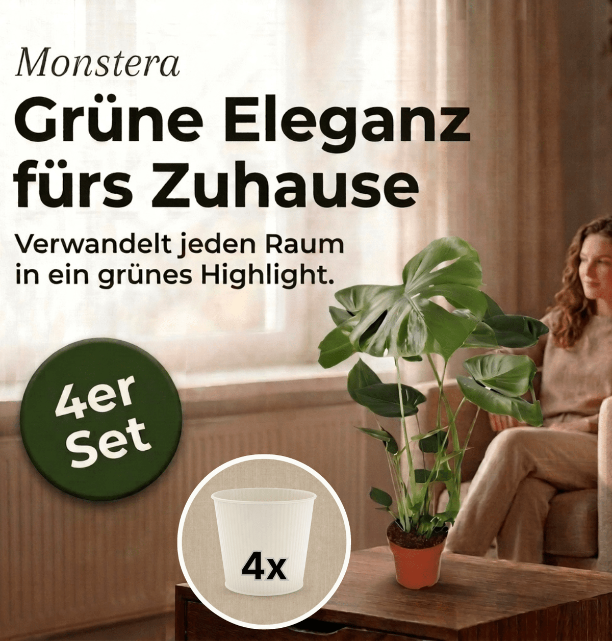 Monstera deliciosa + 4x Cremefarbener Zinktopf | 4er-Set | Fensterblatt | ca. 55-70 cm | Ø 12-15 cm Topf - Blume Ideal