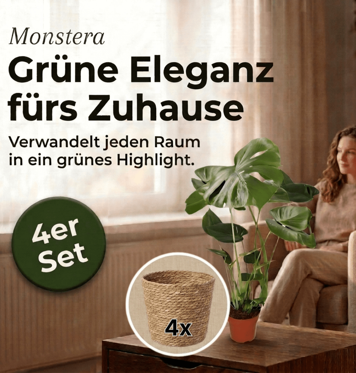 Monstera deliciosa + 4x Seegraskorb | 4er-Set | Fensterblatt | ca. 55-70 cm | Ø 12-15 cm Topf - Blume Ideal