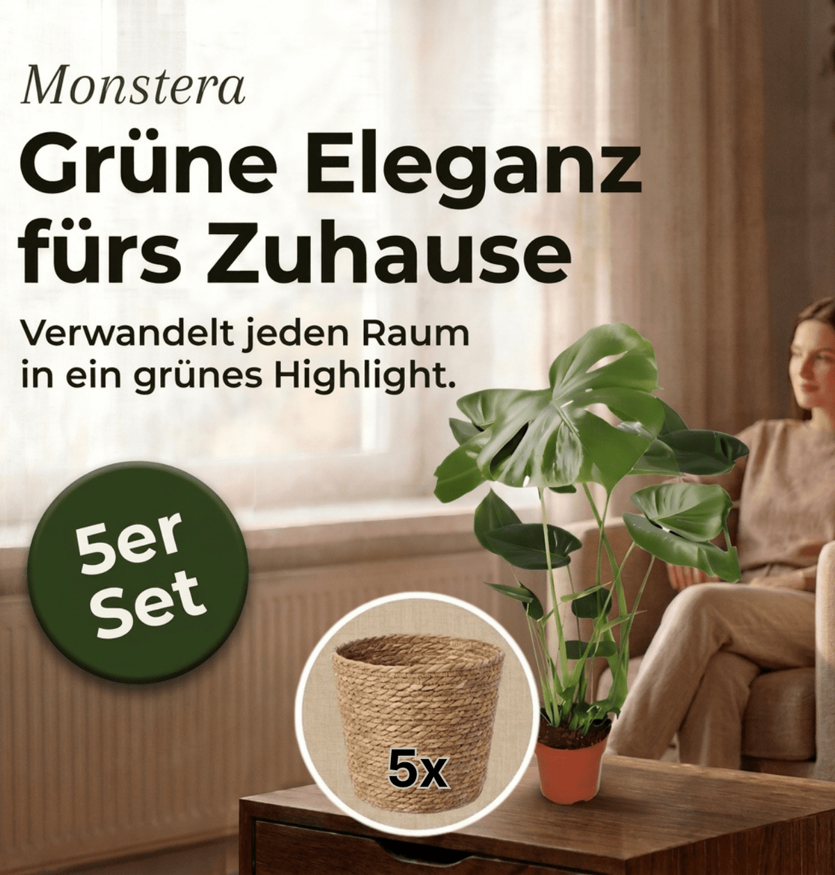 Monstera deliciosa + 5x Seegraskorb | 5er-Set | Fensterblatt | ca. 55-70 cm | Ø 12-15 cm Topf - Blume Ideal