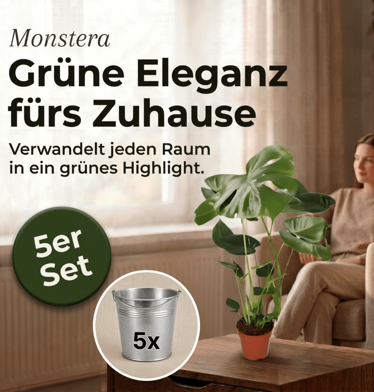 Monstera deliciosa + Zinktopf | 5er - Set | Fensterblatt | ca. 55 - 70 cm | Ø 12 - 15 cm Topf - Blume Ideal