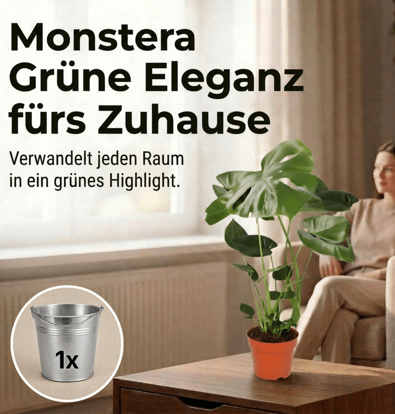 Monstera deliciosa + Zinktopf | Fensterblatt | ca. 55 - 70 cm | Ø 12 - 15 cm Topf - Blume Ideal