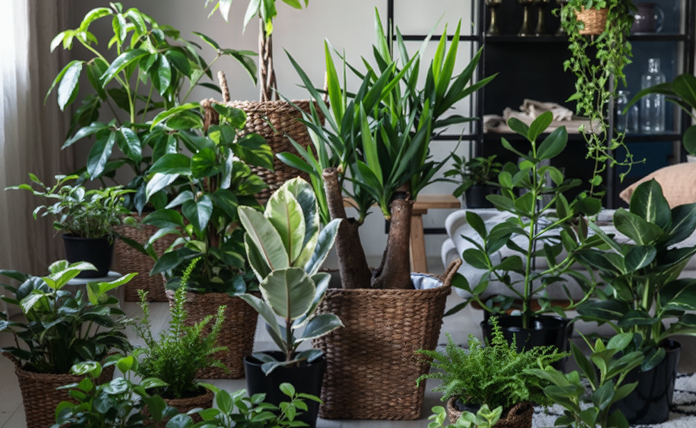 Verrassingssets voor in huis