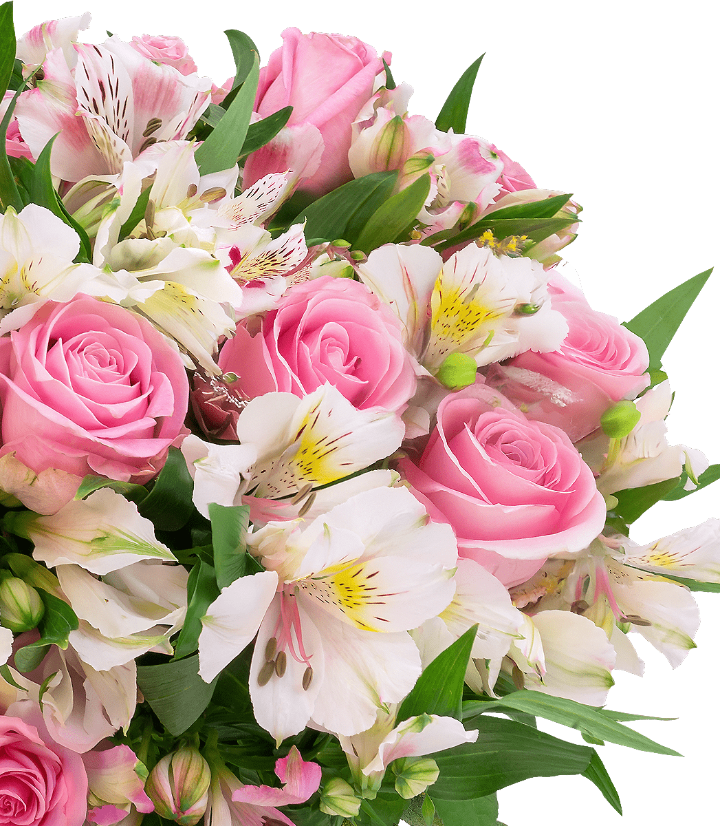 Sweet Surprise mit bis zu 40 Blüten - Blume Ideal