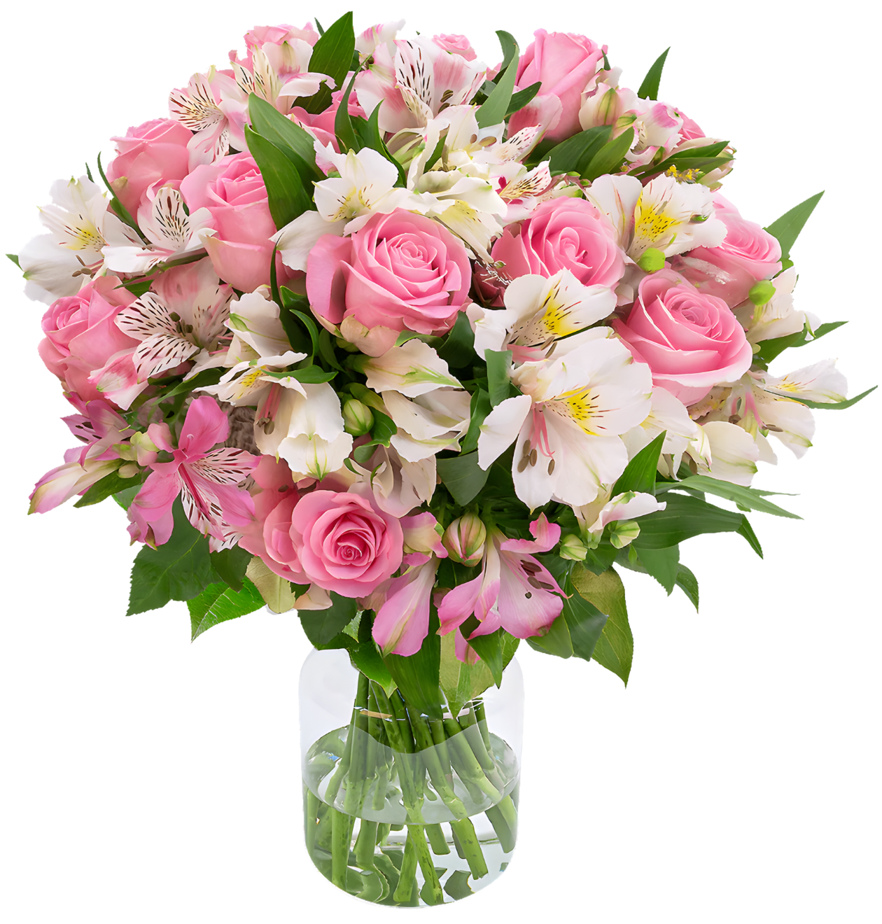 Sweet Surprise XL - Blume Ideal