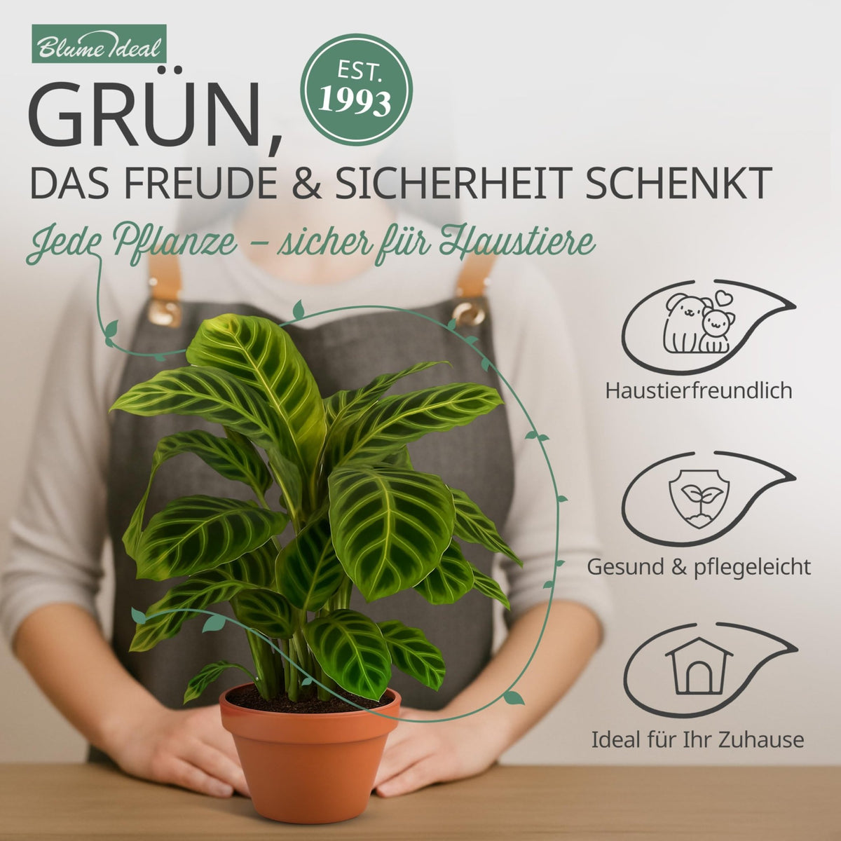 “Tierfreund” Pflanzen-Set + 6x Seegraskorb | 6er-Set | ca. 30-60 cm | Ø 12-15 cm Topf - Blume Ideal