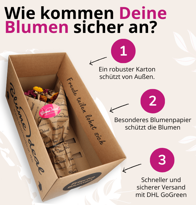 Trockenblumenstrauß "Lena" - Blume Ideal